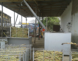 sugarcane hot water treatment rsd